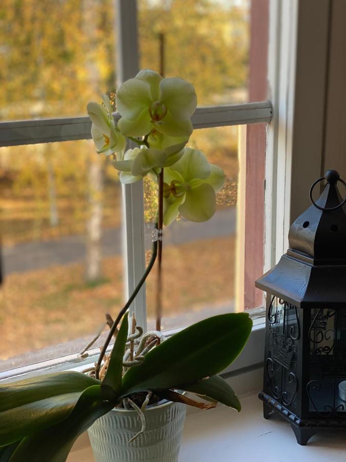 Ting1903 Bed & Breakfast Авеста Экстерьер фото